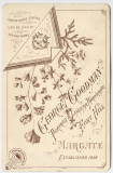 Cabinet Card 354.jpg