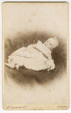 Carte de Visite CDV 794-2.jpg