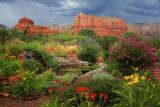 0083-3B9A0309-Cyndies Backyard.jpg