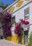 Óbidos em 15 de julho de 2002