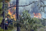 Os Incêndios de 2003