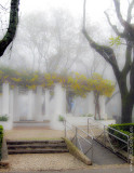Parque Delfim Guimarães (IM)