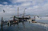Olhão