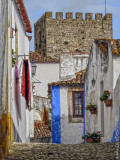Óbidos em 31 de janeiro de 2002
