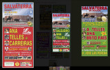 Roubadas_ToirosETauromaquia001_003.jpg