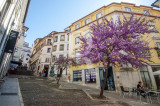 Rua do Quebra Costas