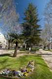 Coimbra em 18 de março de 2017