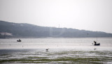 A Lagoa de Óbidos em 20 de abril de 2017