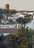 Óbidos em 11 de fevereiro de 2002