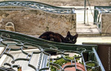 Janelas de Lisboa