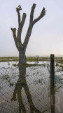 A Lagoa de Óbidos em 26 de maio de 2018