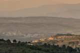 Guarda