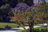 Jardins de Belem