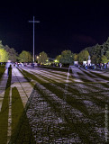 The Shadows