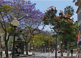 AVENIDA ARRIAGA 