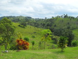 ISLAND LANDSCAPE