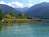NEUSACH