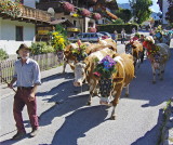 HAPPY FARMER NEARLY HOME 