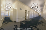 20170425_ROC_jcascio-125416.jpg