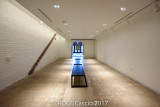 20170501_ROC_jcascio-127659.jpg
