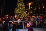 20171201_Canalside_Tree_Lighting_web-123062.jpg