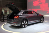 2019 Audi e-tron Quattro (1515)