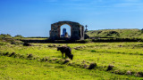 Llanddwyn Island