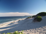 P9281266_s.jpg