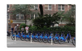 CitiBike 