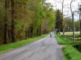 Valle du Luzou, Route de Cardesse et les premires feuilles