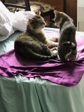 Emile et Nickie se racontent