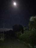 Clair de lune à la campagne
