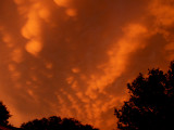 Nothing But Red Skies