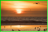 Sunset 1-17-18 (5) Gulls Frame.jpg