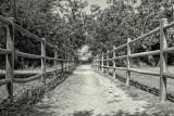 4X6 Fenced Pathway Irvine Park (1) BW.jpg