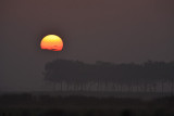 Ochtendzon / Morning Sun (Ouddorp)