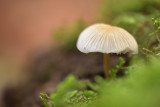 DSC_9837 (Twickel / Delden)