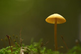 DSC_9848 (Twickel / Delden)