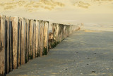 Strand van Ameland.