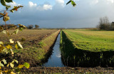 Texel (de Koog)