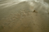 Texel (Zandverstuiving bij harde wind)