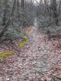 Appalachian Trail 2