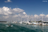 7783-marina.jpg