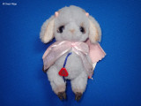 Clemens Josy lamb