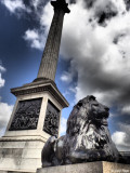 P5100436-trafalgar-square.jpg