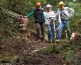 Packwood Lake Trail Clearing