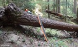Jordan Creek Trail - Before