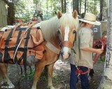 Packwood Lake Packing