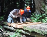 Packwood Lake Repairs