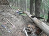Jordan Creek Trail